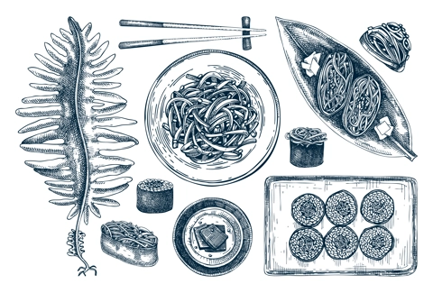 Hand drawn wakame sketches set. Edible seaweed drawing isolated on white background. Sea vegetables vector illustrations. Japanese cuisine dishes, healthy food ingredients in engraved style